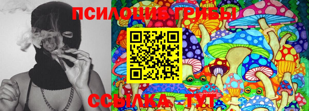 Псилоцибиновые грибы Psilocybine cubensis  купить наркотики сайты  Сафоново  Вход с VPN  Псилоцибиновые грибы прущие грибы 